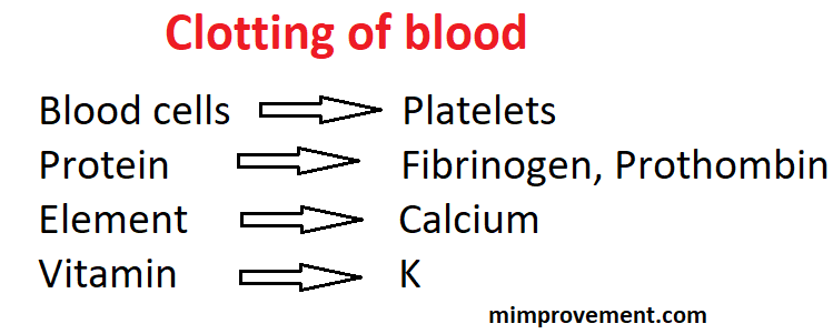 Blood clotting, Clotting of blood, How is blood clotting formed, Cascade process, Important notes on blood clotting(1)