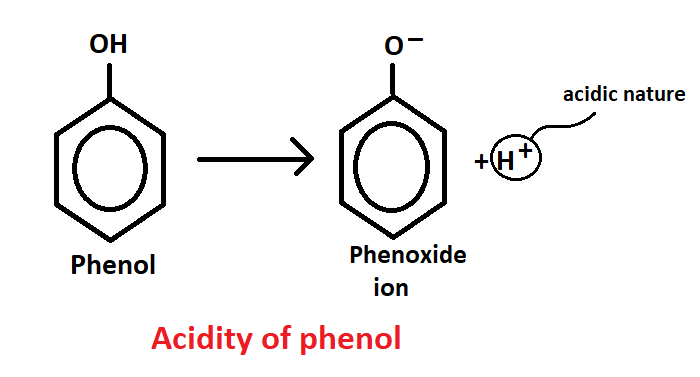Phenol, Acidity of phenol, Why phenol is acidic in nature, Effect of substituents on acidity of phenol, Qualitative test for phenols(5), with best notes