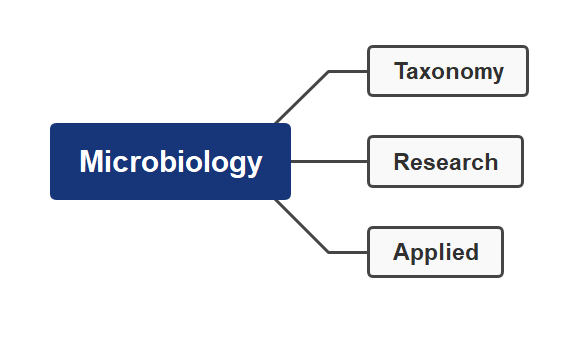 Microbiology, History of microbiology, Branches of microbiology, Taxonomy, Research work, in best way(1)