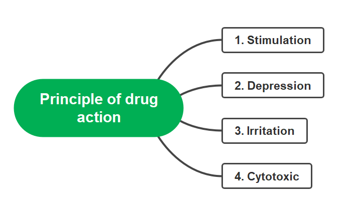 Pharmacodynamics, Site of action, Types of sites of action, Principle of drug action