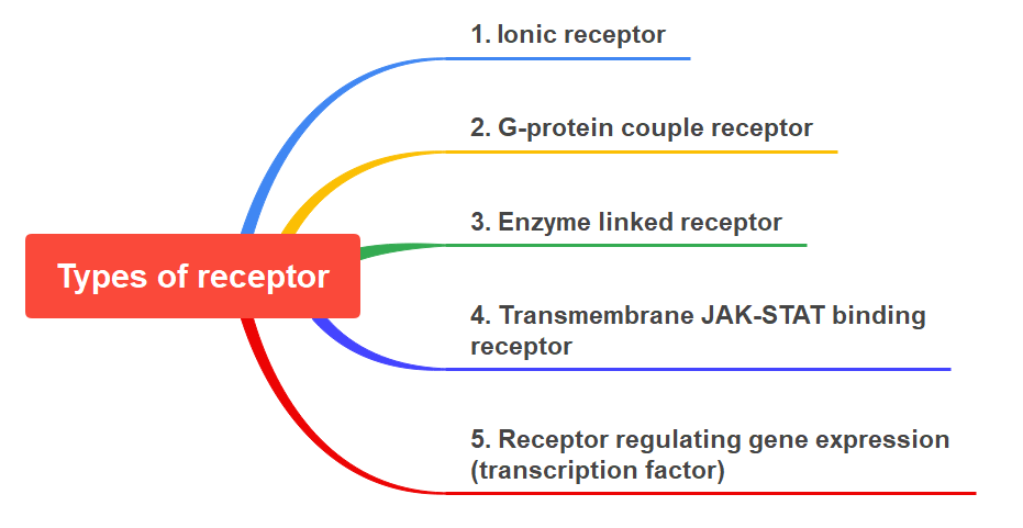 Receptor and it's types, G-protein couple receptor, Ionic receptor, Enzyme linked receptor, Transmembrane JAK-STAT binding receptor, with best notes(1)