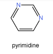 introduction of pyrimidine